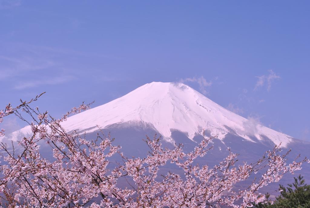 Hotel Mt. Fuji Yamanakako Dış mekan fotoğraf